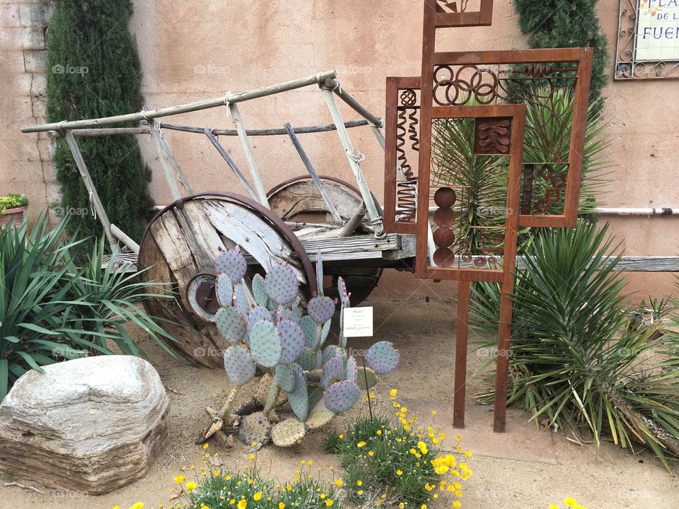 Love the beauty of the desert with all the artistry in Sedona, Arizona.