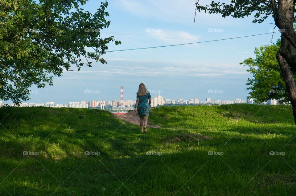 Landscape, Grass, Tree, Nature, Sky