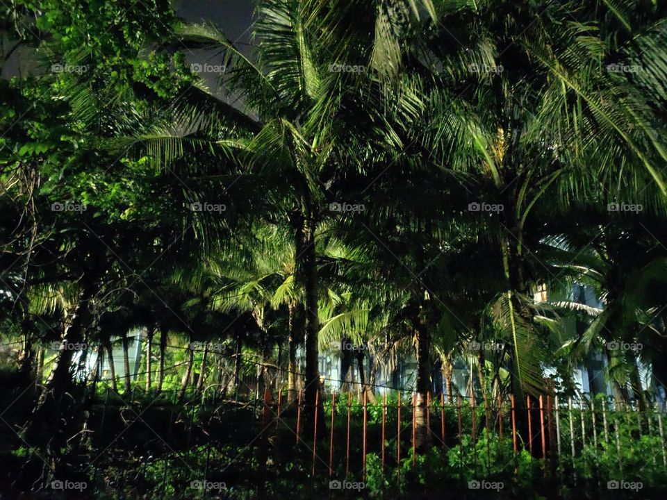 Awesome Scene
Green Orchard 🌴

Rainy season 💭
Fencing of Iron Rods Painted