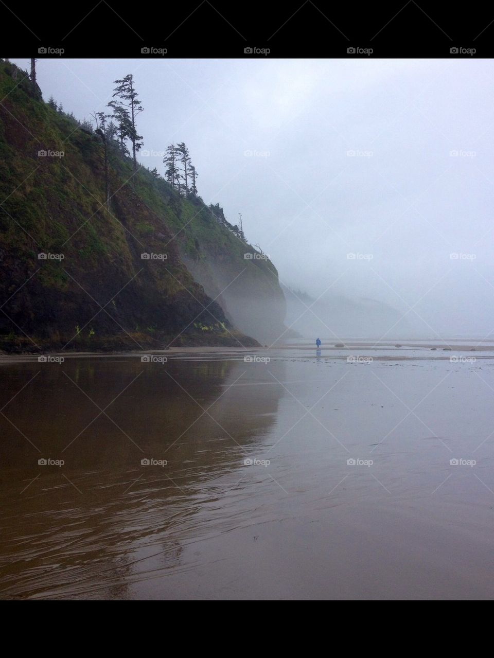 Foggy Oregon Summer 