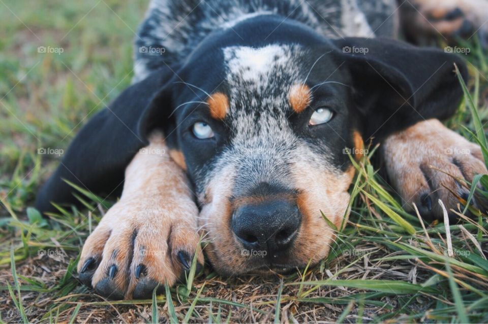 Blue eyed baby💙