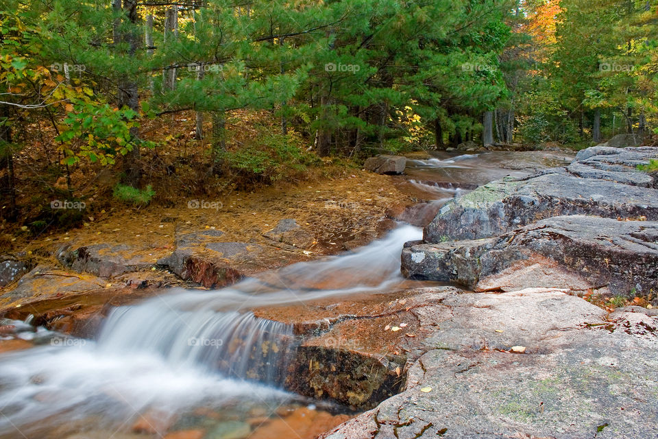 Canon Brook in Acadia National Park