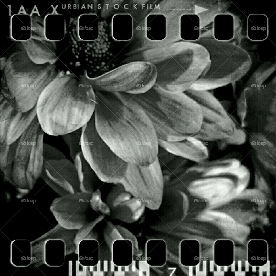 b+w lighting effects