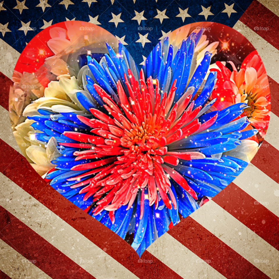 Red , white and blue Art