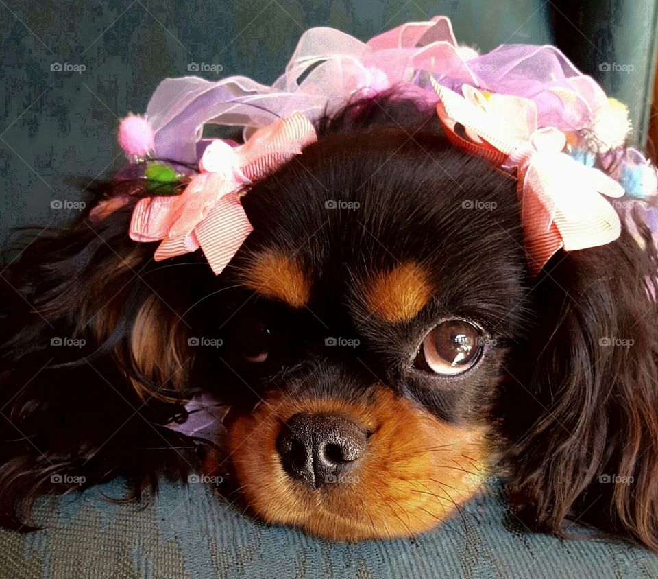 Everyone looks better in Pink