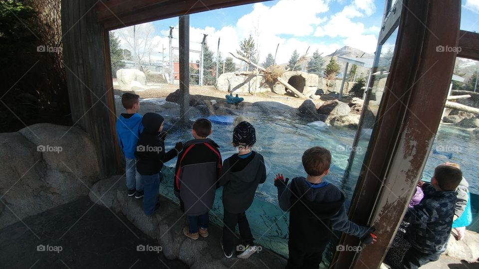 kids looking out into the polar bear aquarium