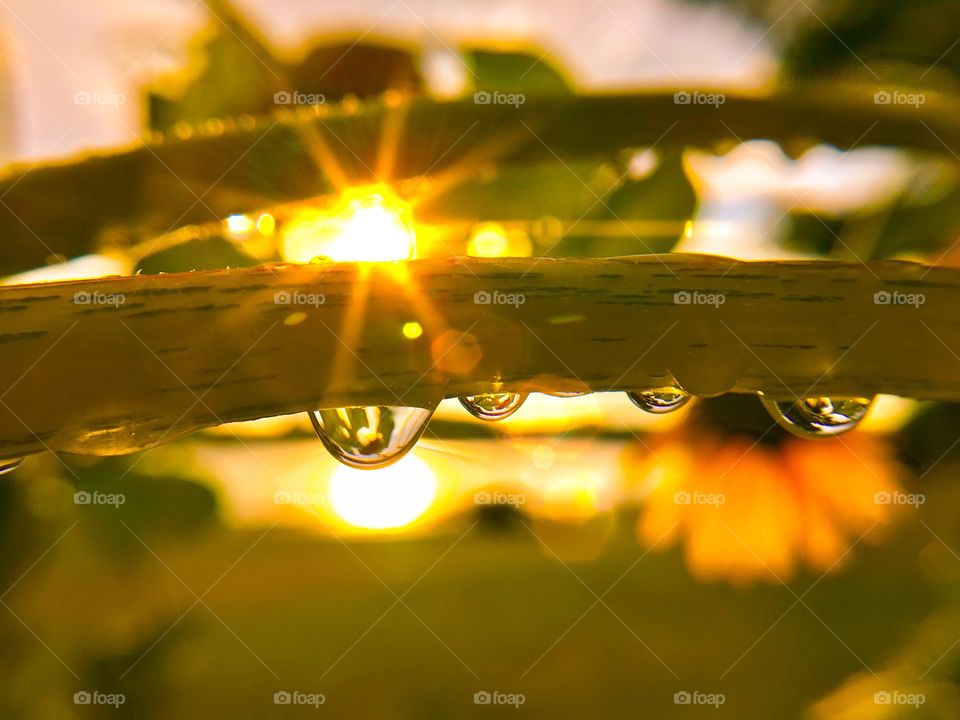 Beautiful view of the sunset