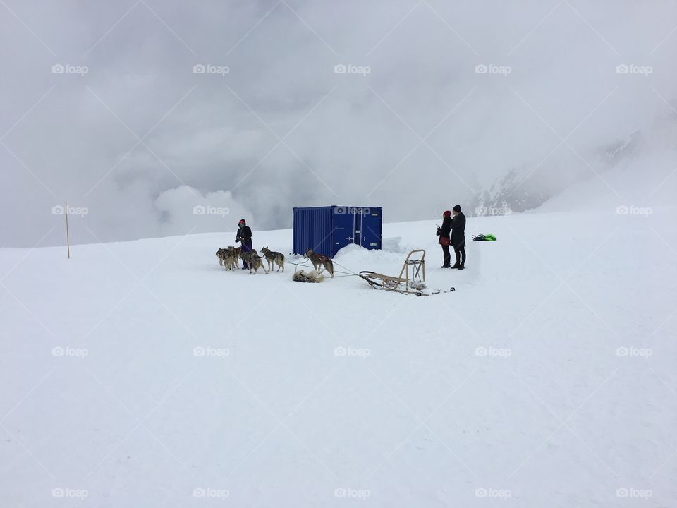 Snow landscape 