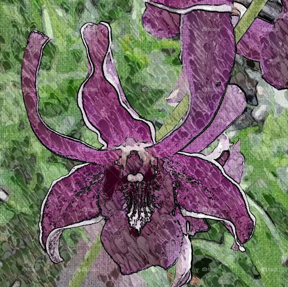 orchid art