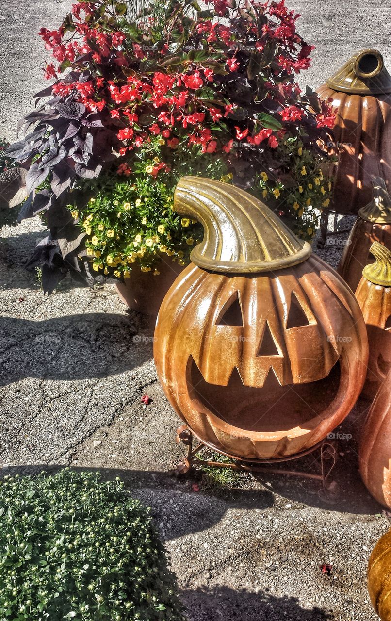 Seasonal Finds. Autumn Yard Decor