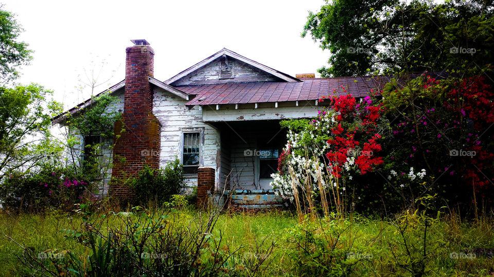 Abandoned Home. This abandoned home sits silently among the mustard seed fields of South Carolina.