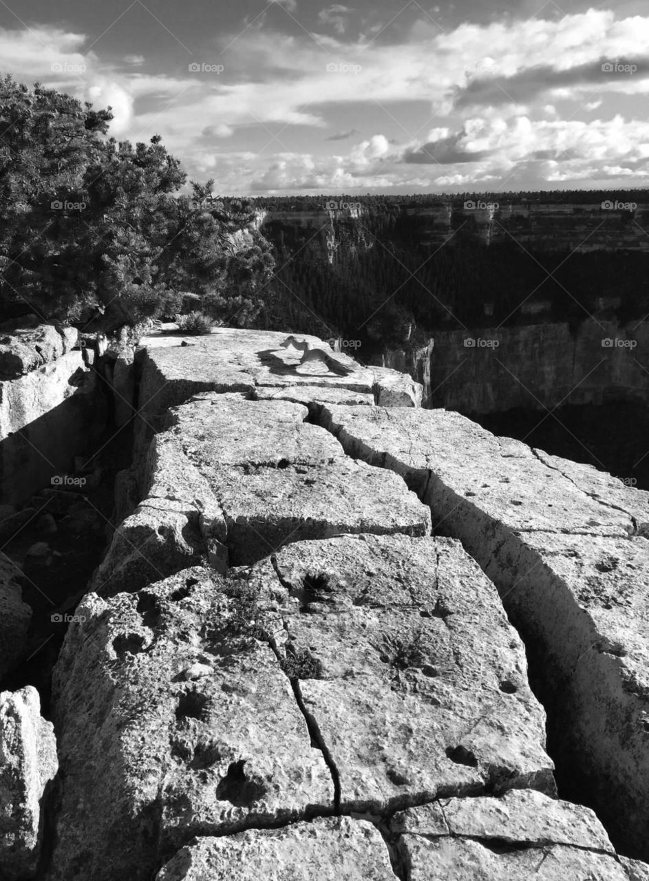 Grand Canyon rim . Black and white view 