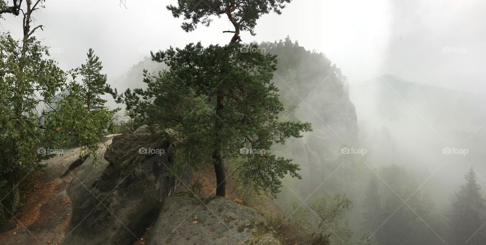 Foggy day in Elbe Sandstone Mountains 