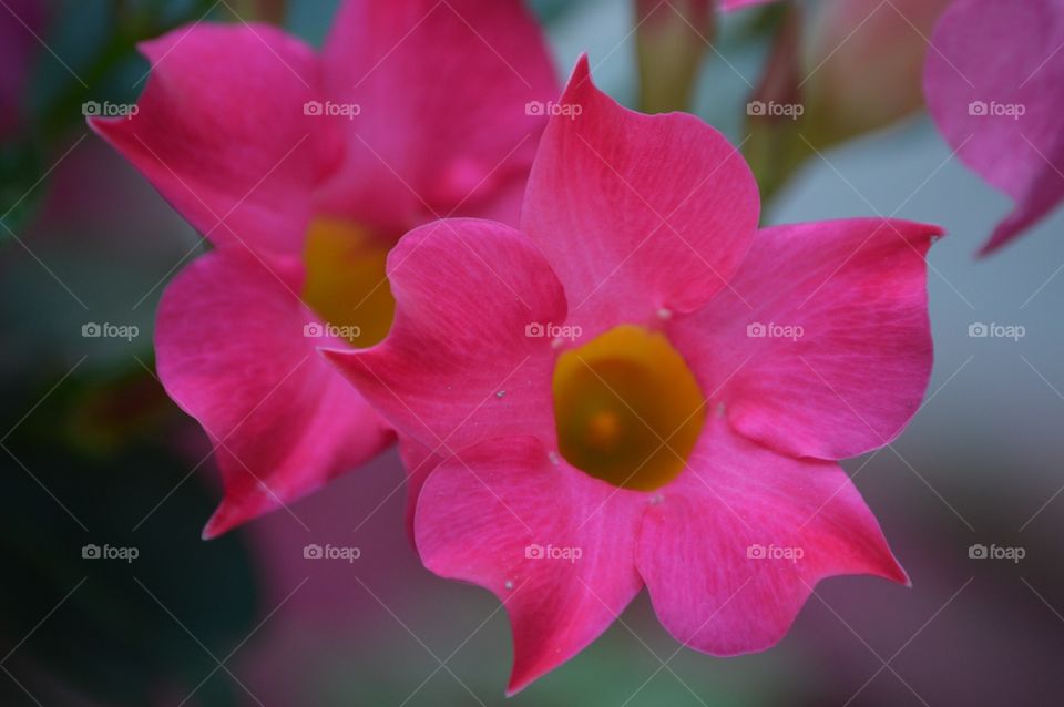 Embrace the freak that you are.  -P!nk 🎀💕🎀💐🎀💕🎀💐🎀