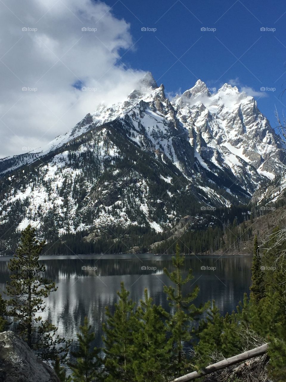 Alpine Wilderness 