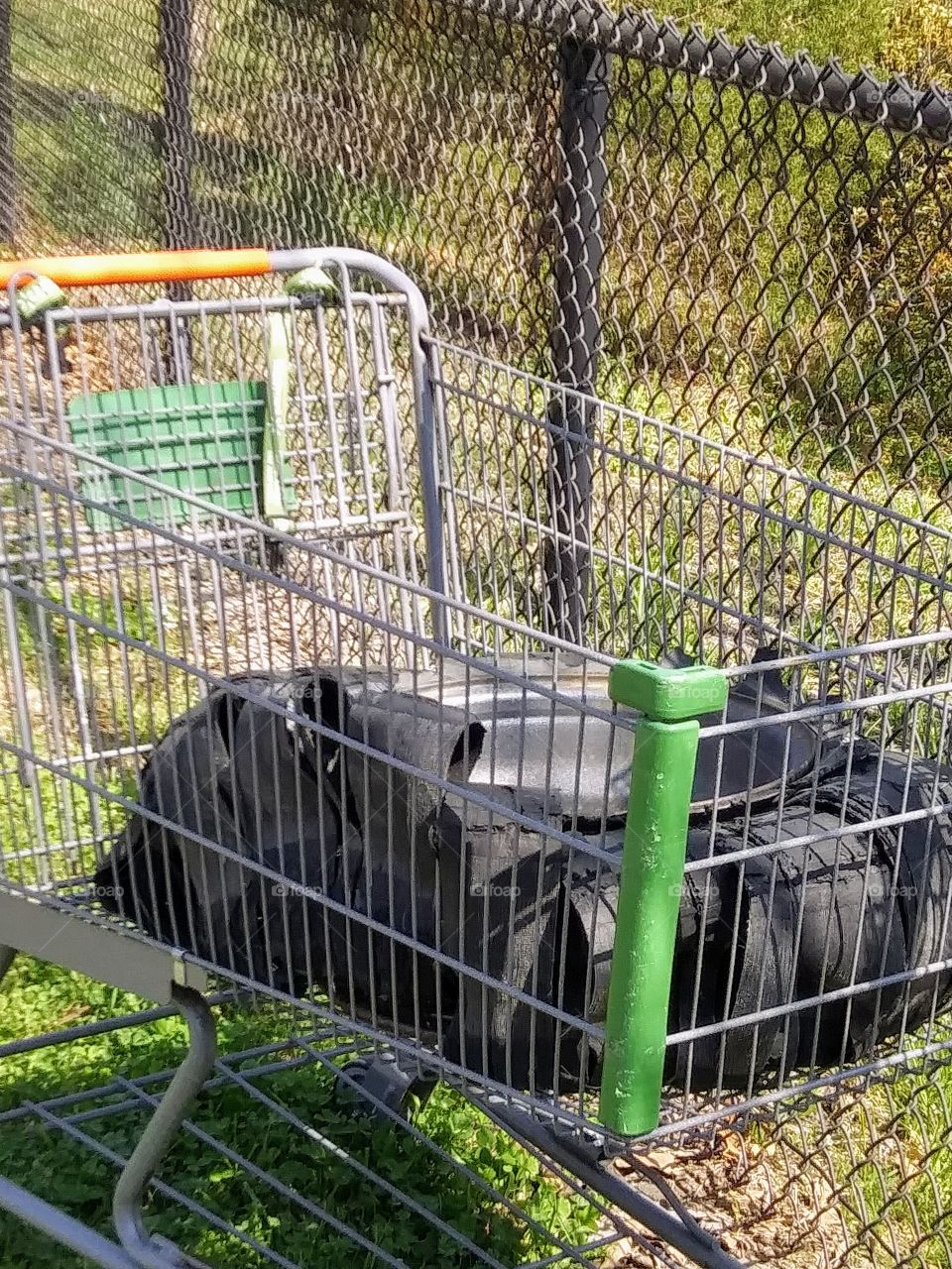 shopping cart with an old tire in the basket