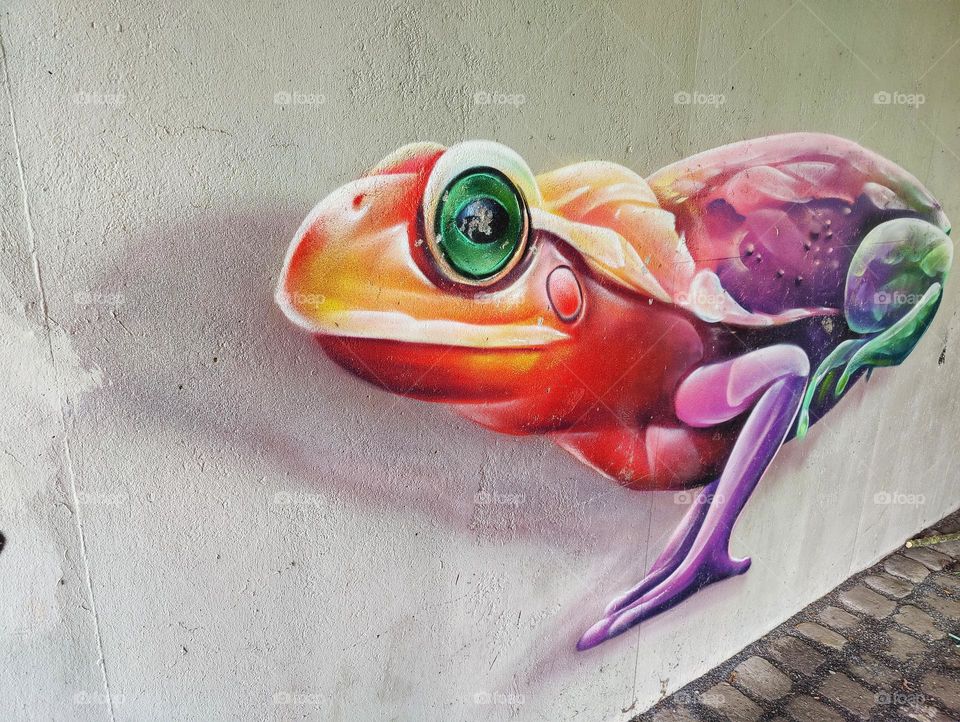 street art colorful frog in tunnel