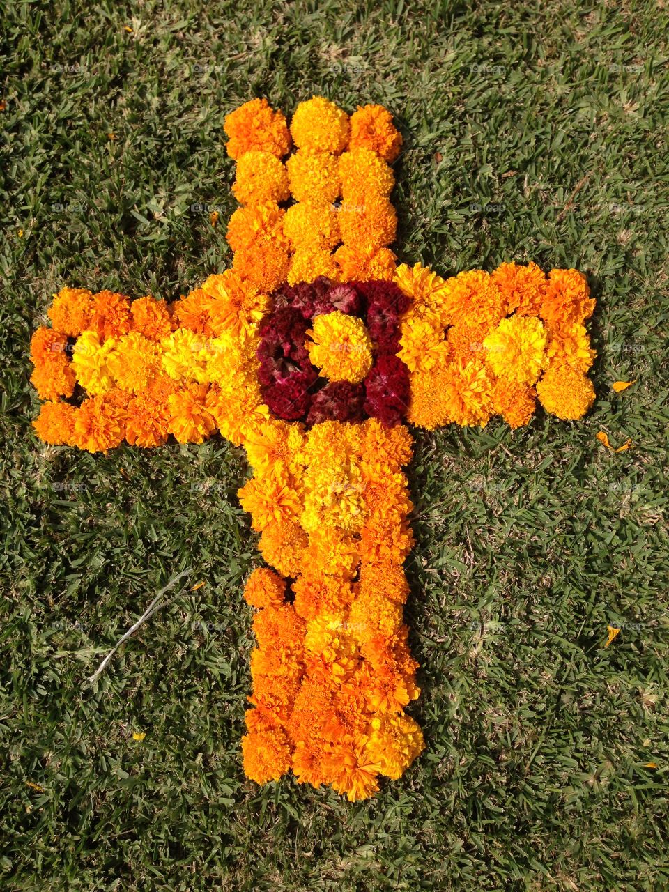 Mexico dia de muertos. Halloween.  Cross. Flowers. Skull skeleton
