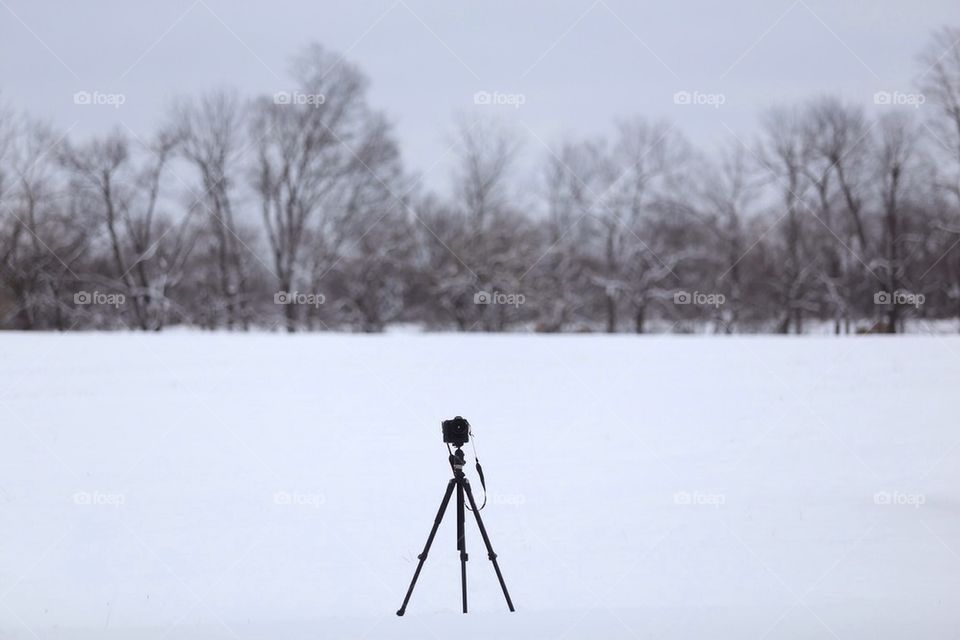Camera in the snow