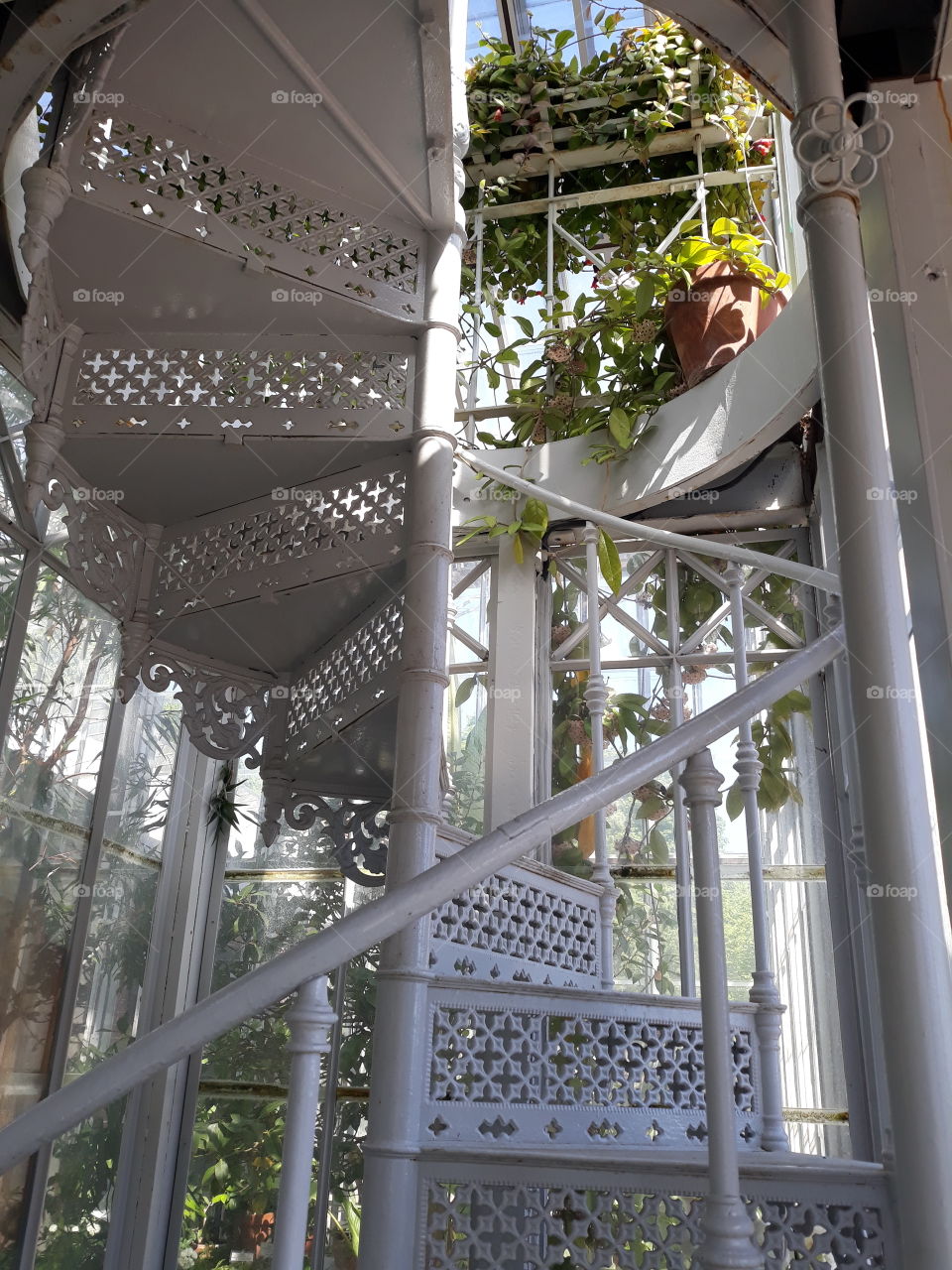 винтовая лестница в ботаническом саду