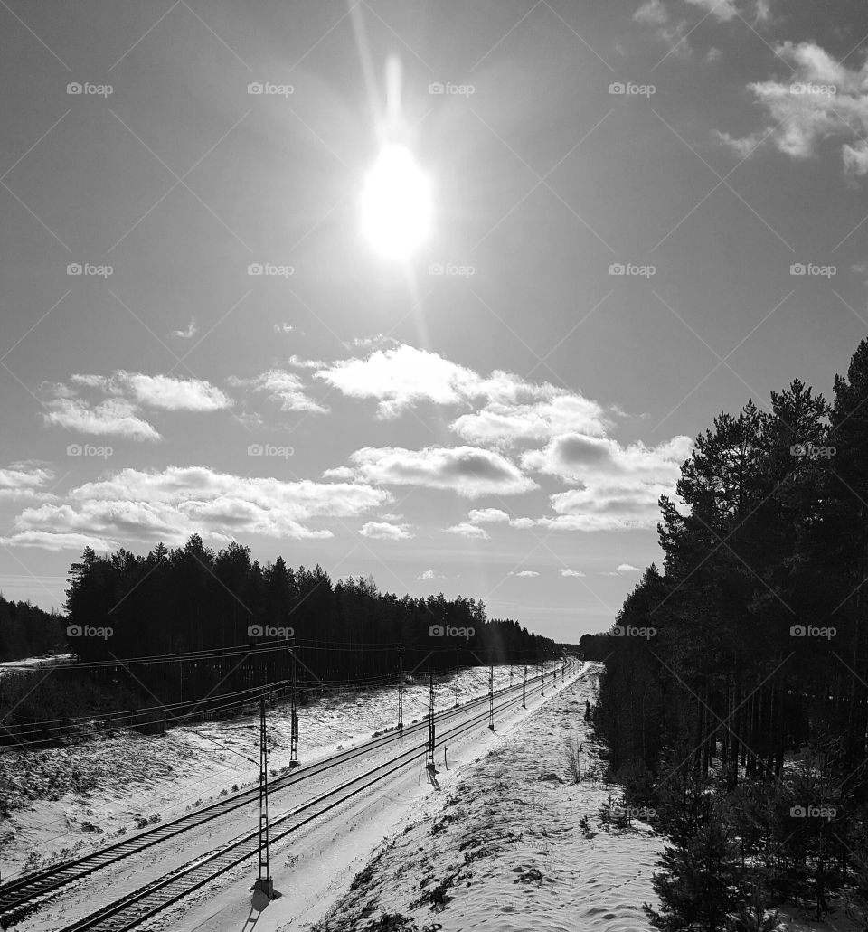 Black and White photo