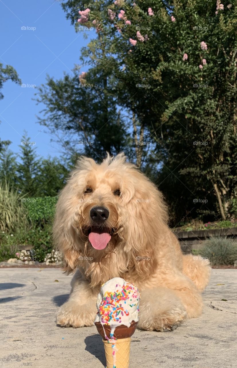 Practicing self control 