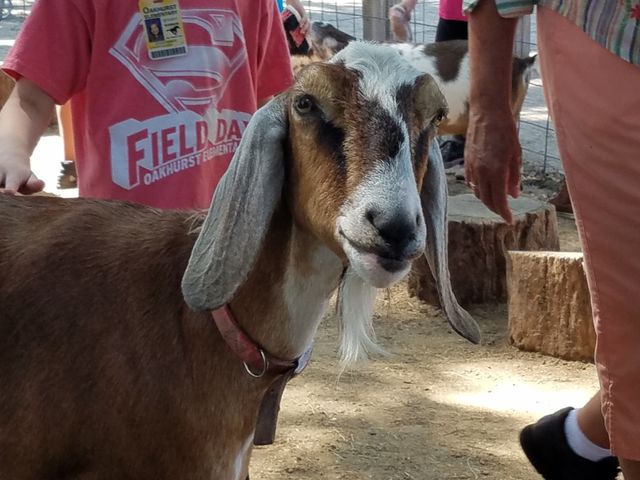 Farm Day's