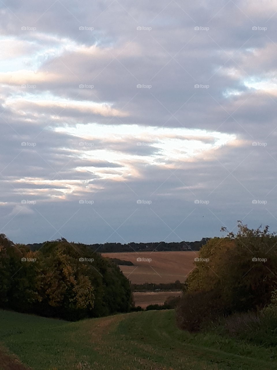 Landscape, No Person, Sky, Sunset, Tree