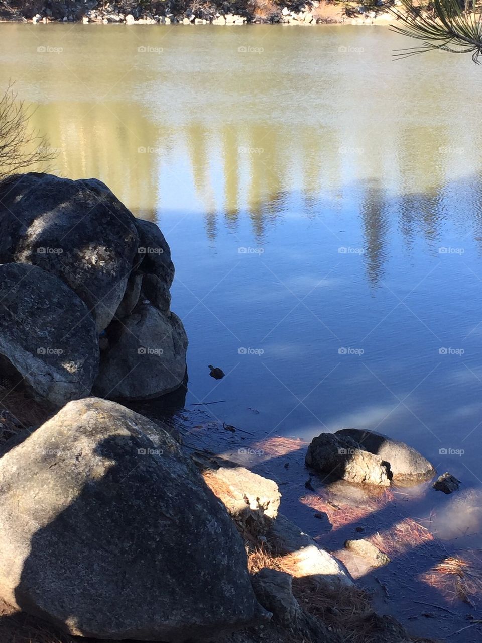 Cool shadows on a lake