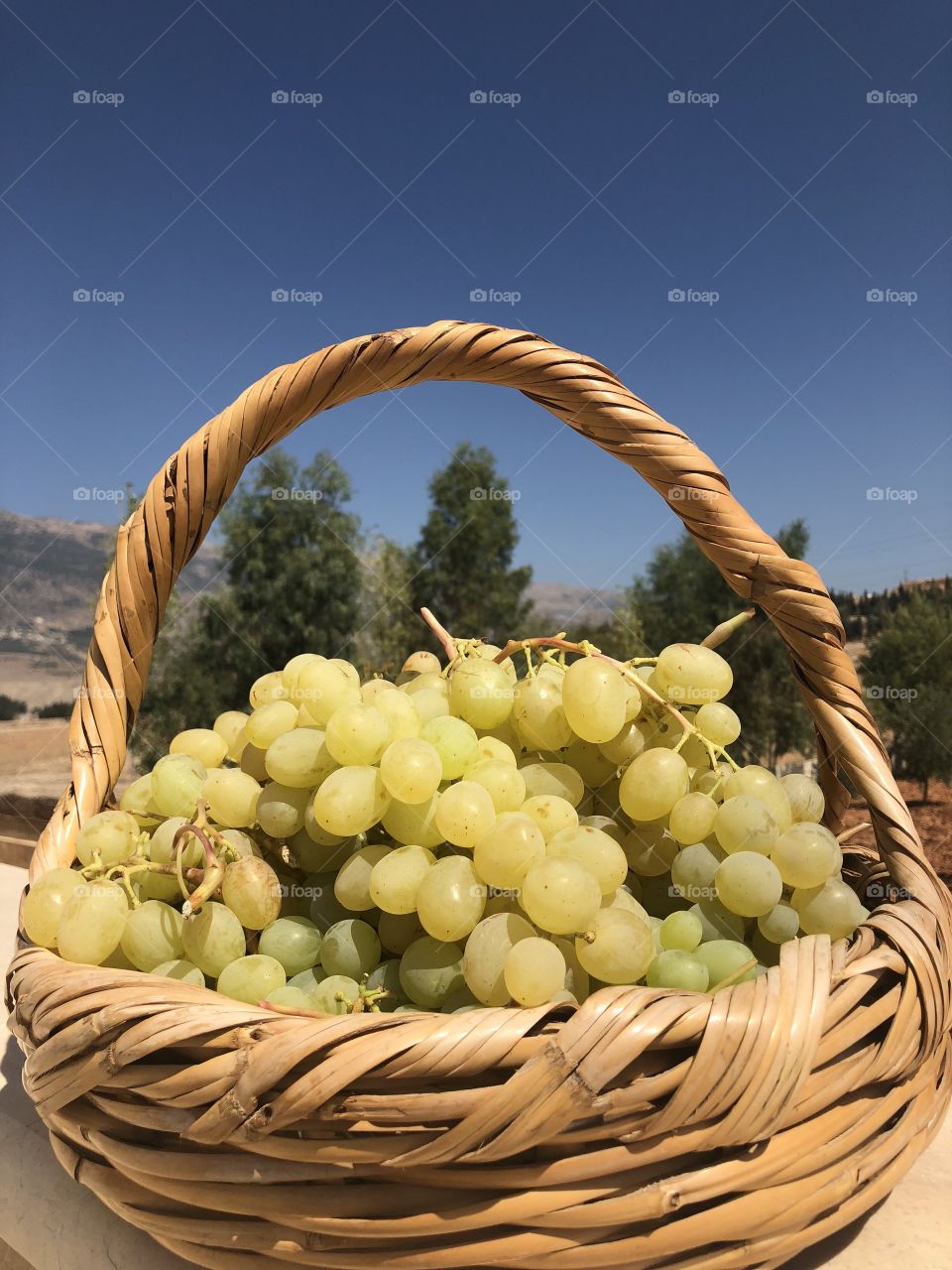 Fresh grapes always are a good choice to hydrate the body, boost immunity and decrease fatigue.
