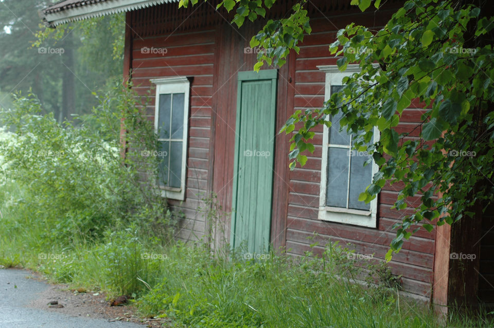 door window house