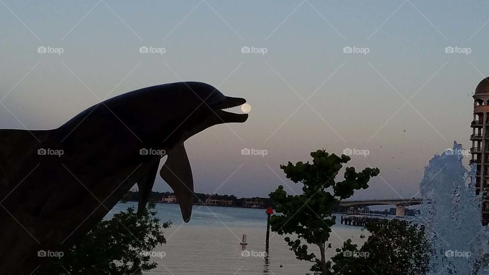 Moonset over Sarasota Bay in Florida. The dolphin is a sculpture as part of the fountain. The moon was full.