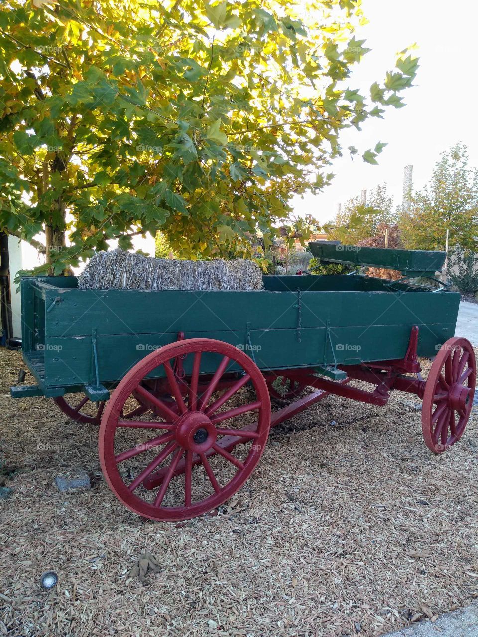 vintage wagon