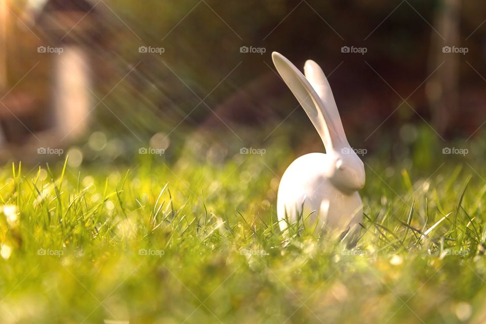 Easter decoration in garden. Easter decoration with bunny and eggs on grass in garden.