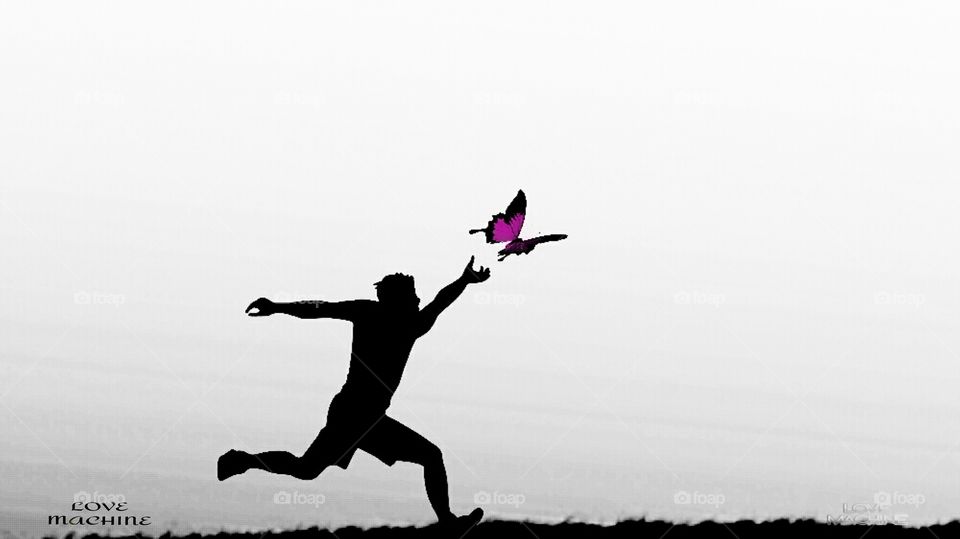 The Butterfly Of Love