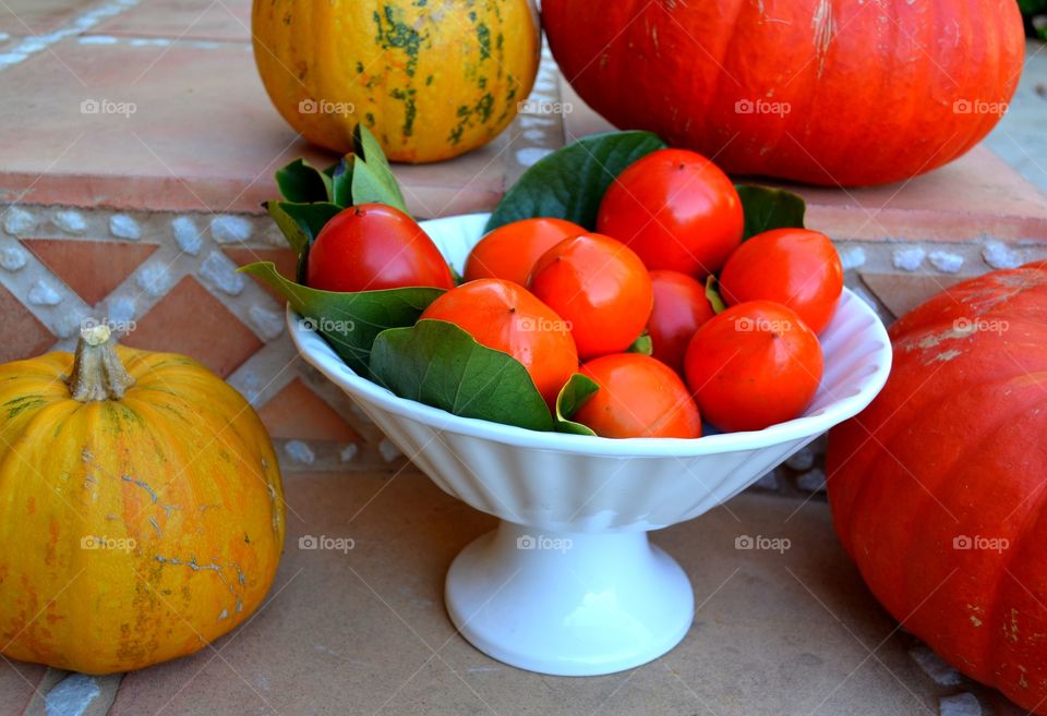 Reasons to FALL in L❤VE with Autumn!