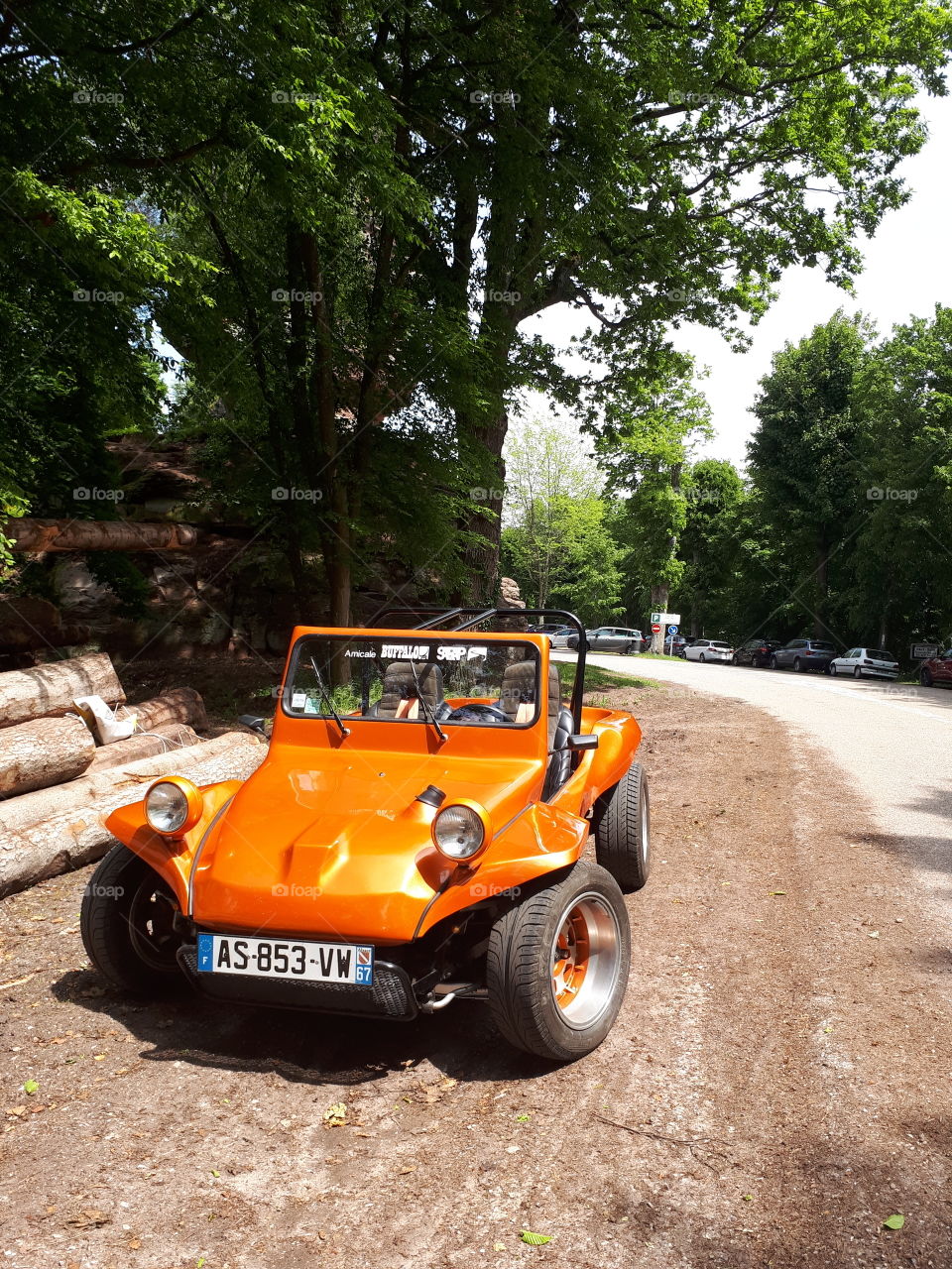 Small orange car stands near the road in the forest