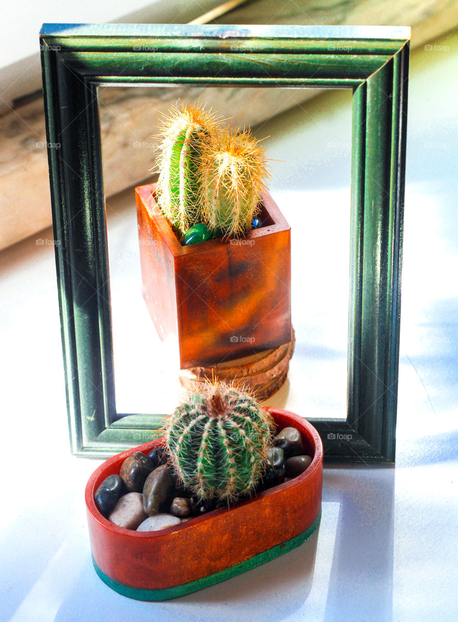 Portrait of cactus, with a wooden picture taken next to a window