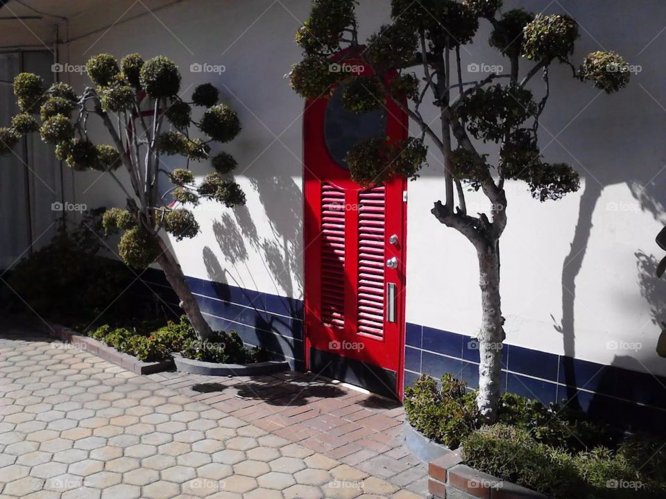 Red door with trees, hedges and walkway.