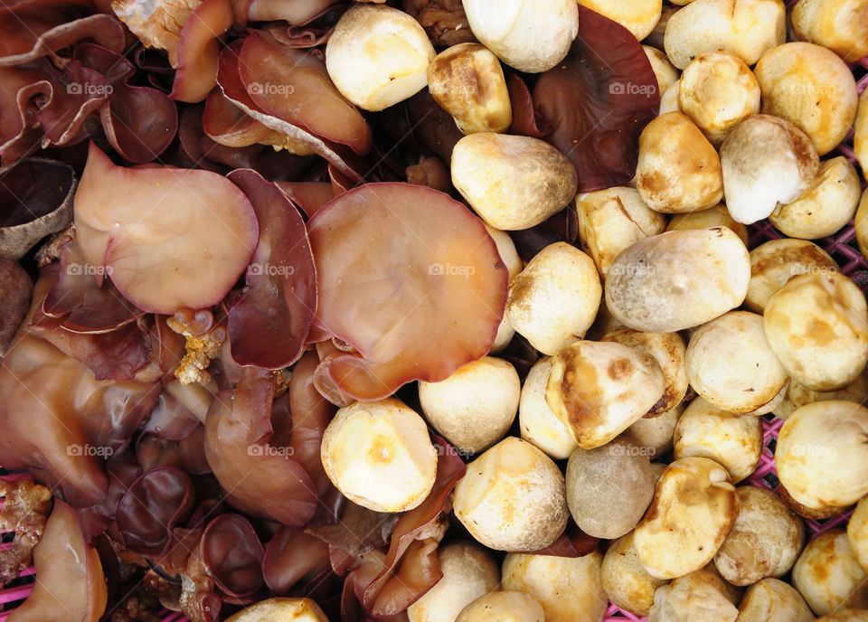 Mushroom, Straw mushrooms were sold in Thailand market