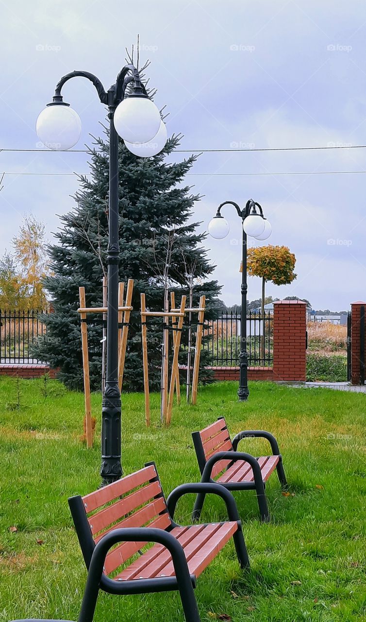 seeing double - pairs of steet lamps benches and young trees