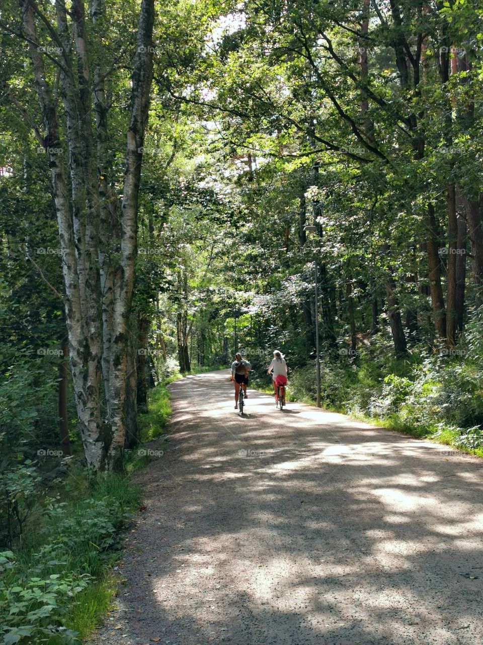 Women cycling in the forrest