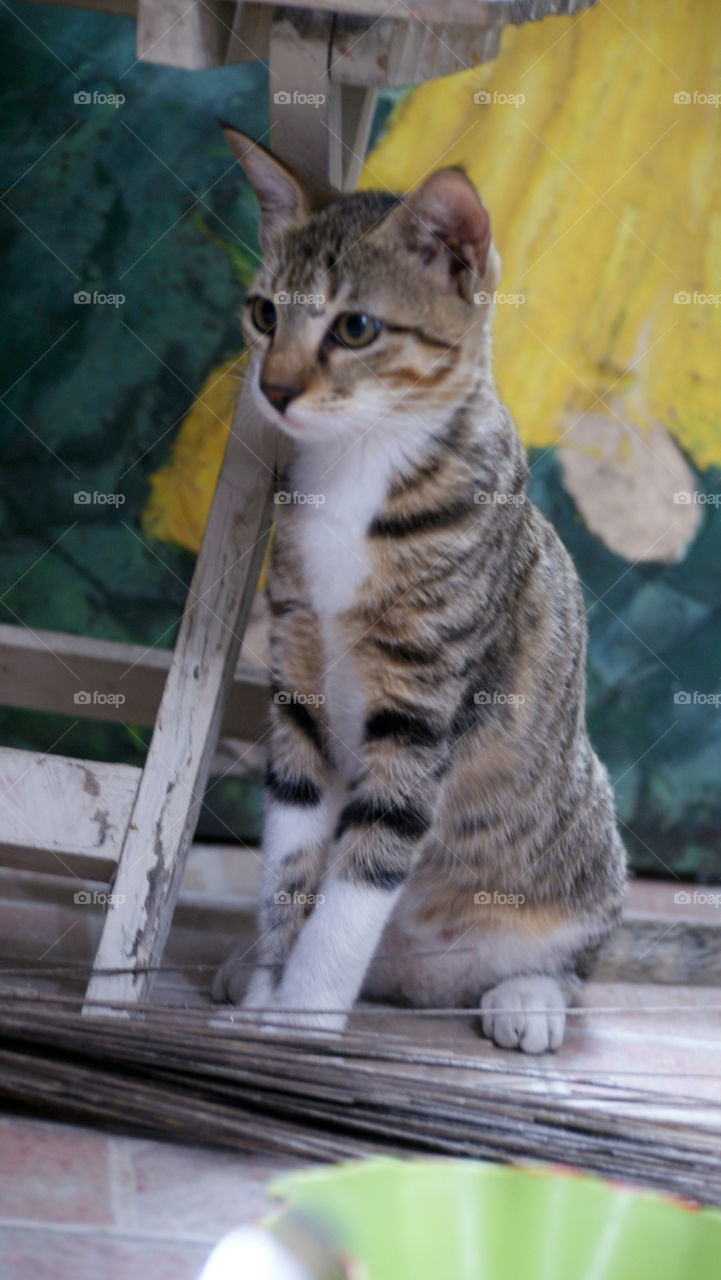 The perfect model for an interesting and cute picture.