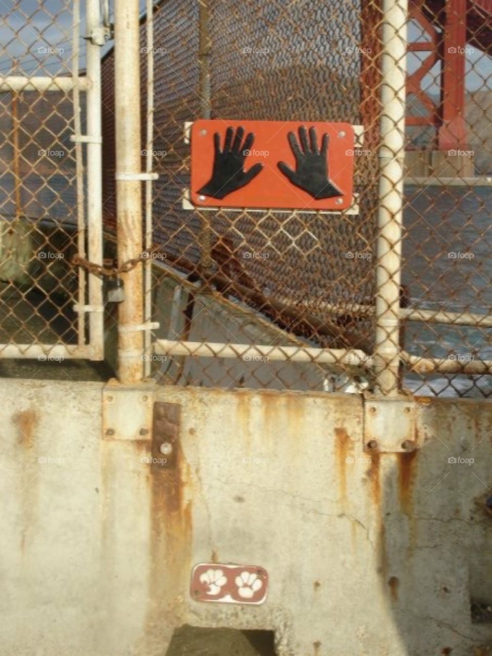 Hands & paws finish line