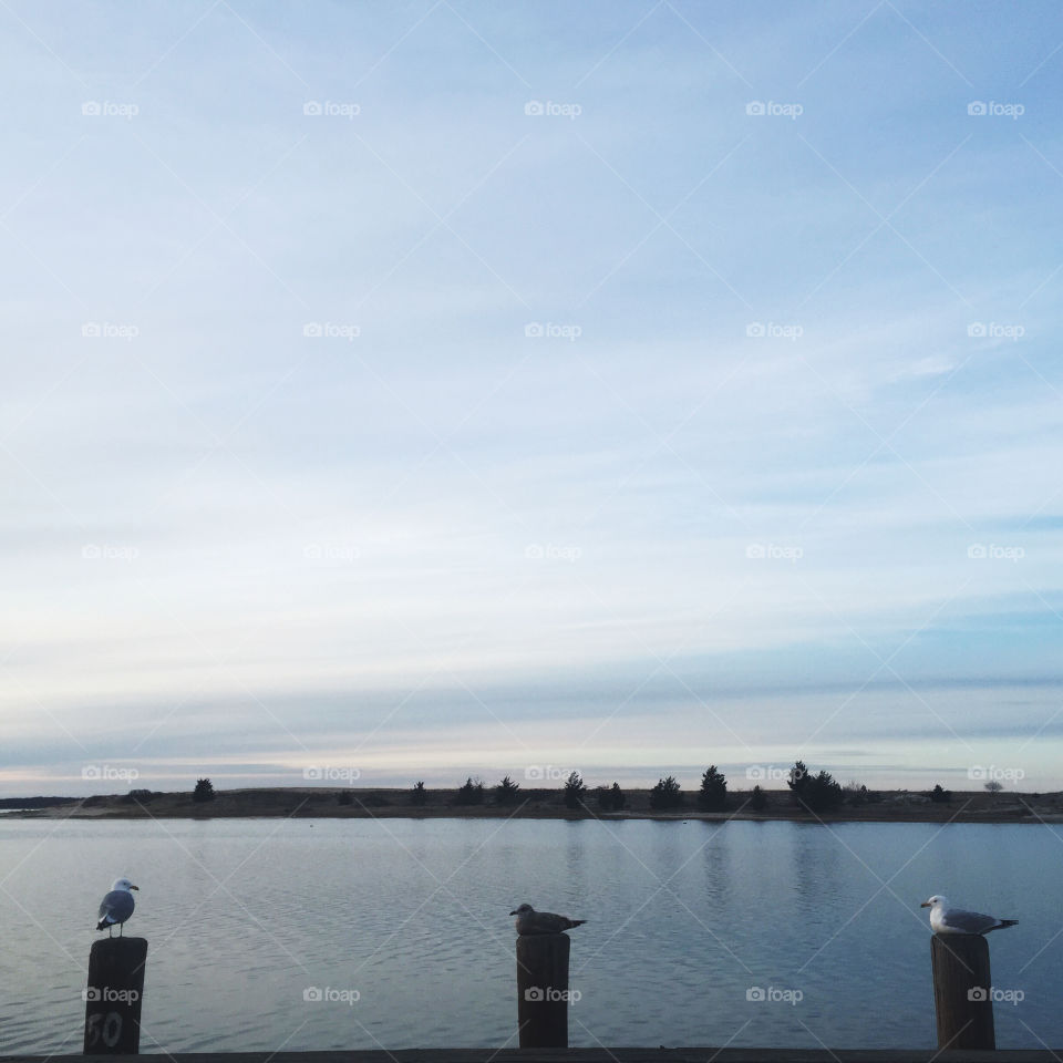 Water, Lake, No Person, Dawn, River