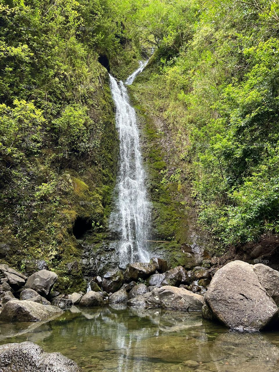 Lulumahu Falls in Honolulu Hawaii