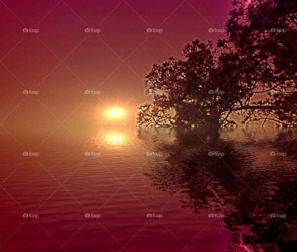 Crimson Sky reflection