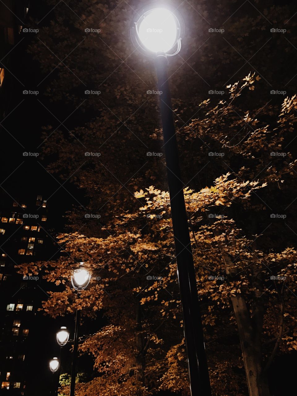 My favourite colour is October 