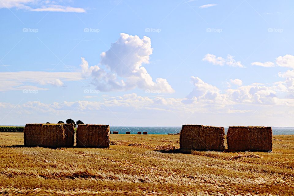 Field of hayballs! 