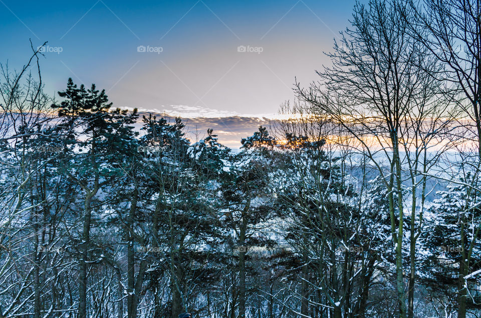 Nature landscape during sunset